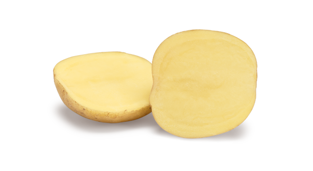 Twister SNG CL®Agrico20