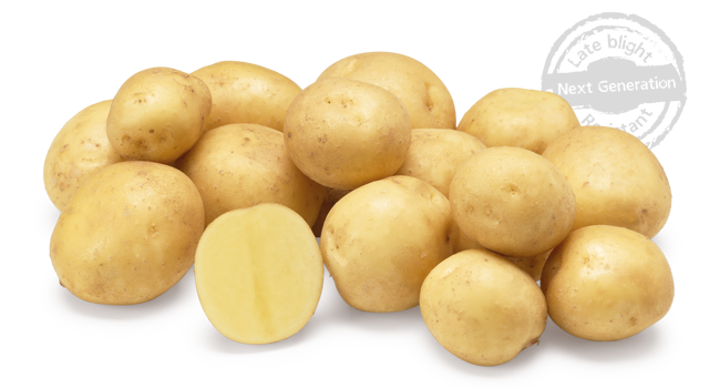 Jacky nestje met doorsnee