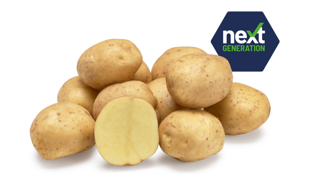 Next Generation Beyonce