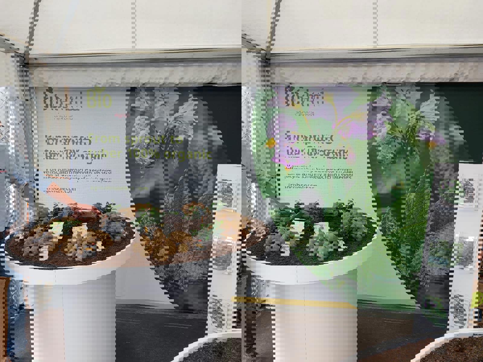 Potato Europe Bioselect Wand Rassen