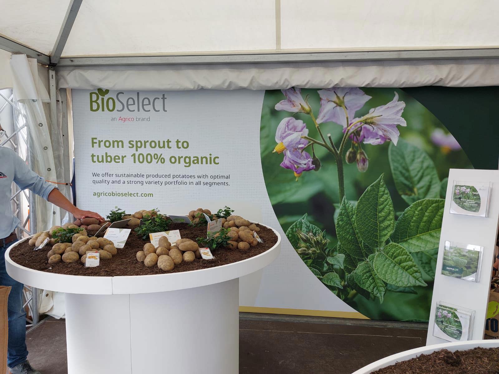 Potato Europe Bioselect Wand Rassen