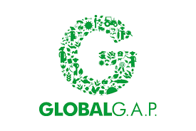 Global Gap