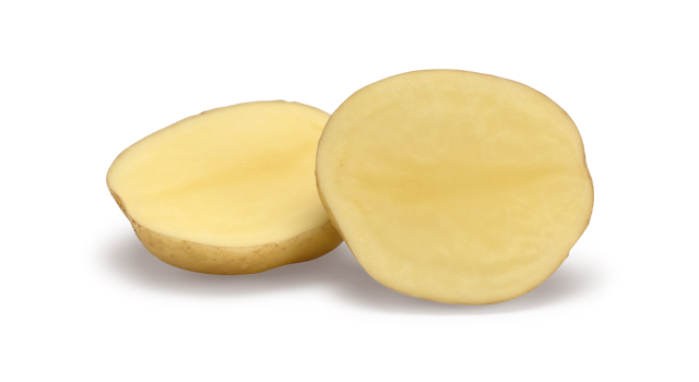 Jacky SNG CL®Agrico20