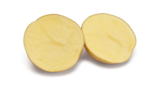 pootaardappelras-beyonce