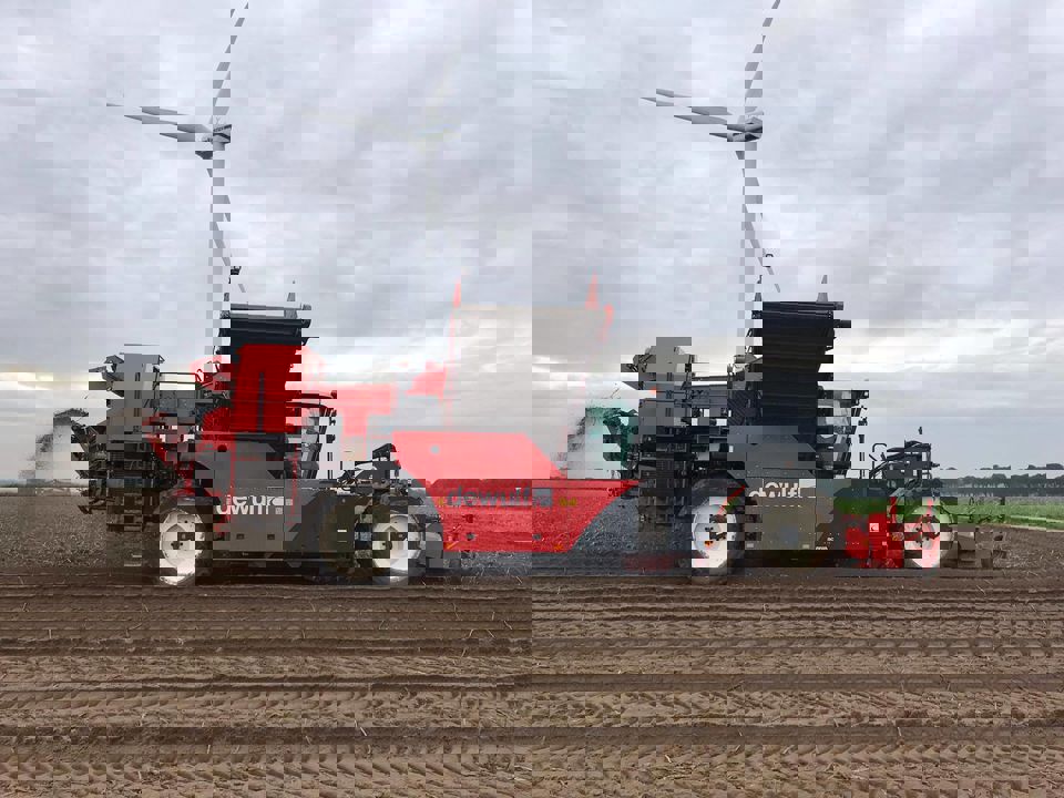 Rooien