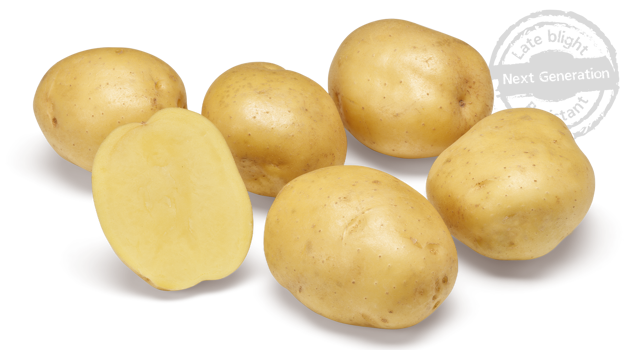 Twister nestje met doorsnee