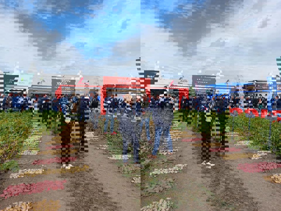 Potato Europe Dag 1