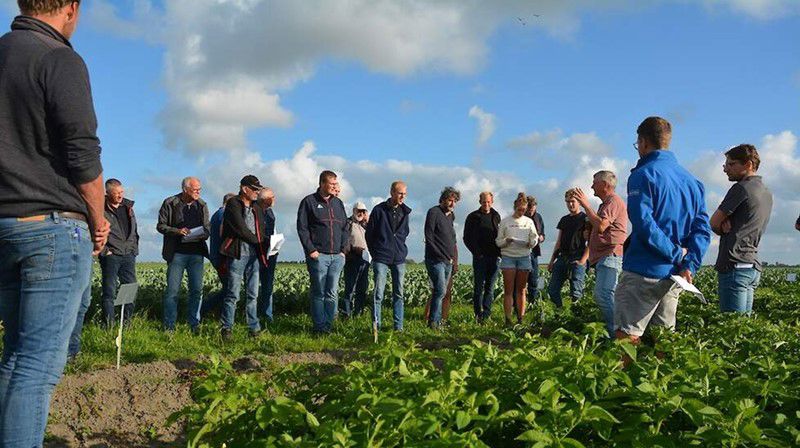 Robuuste Rassen Veld (1)